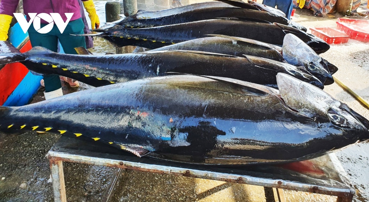 Vietnam boosts tuna exports to UK